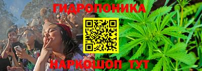 крисы Пыть-Ях