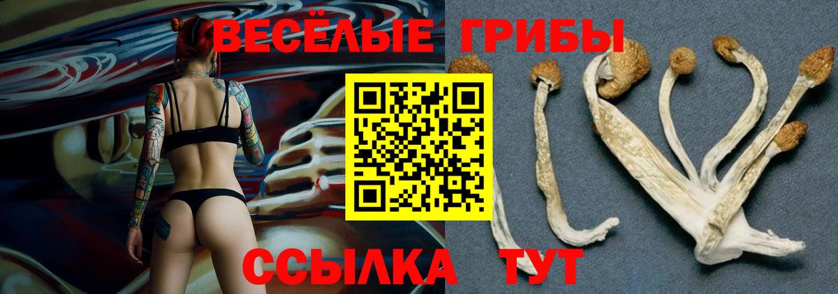 Псилоцибиновые грибы Magic Shrooms  Вход с VPN  Галлюциногенные грибы GOLDEN TEACHER  Анжеро-Судженск 