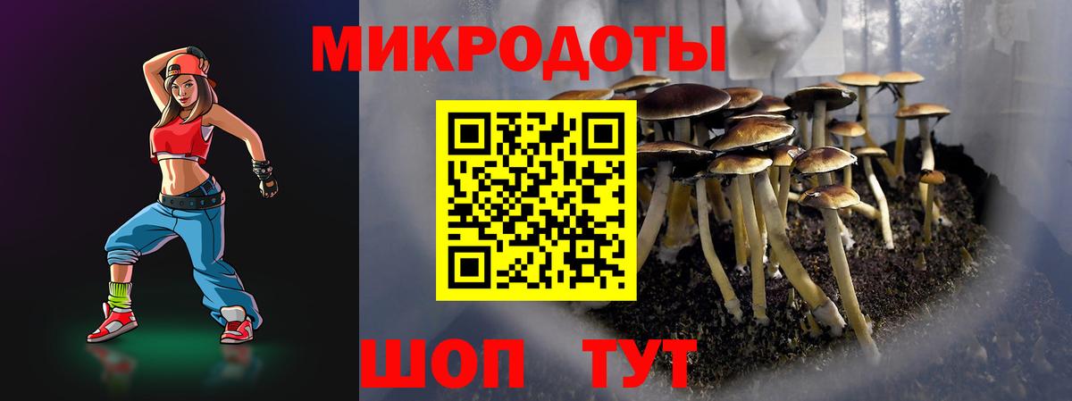 Псилоцибиновые грибы Psilocybe Анжеро-Судженск